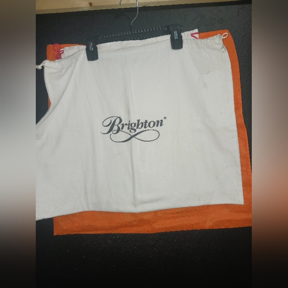 Brighton dustbag
